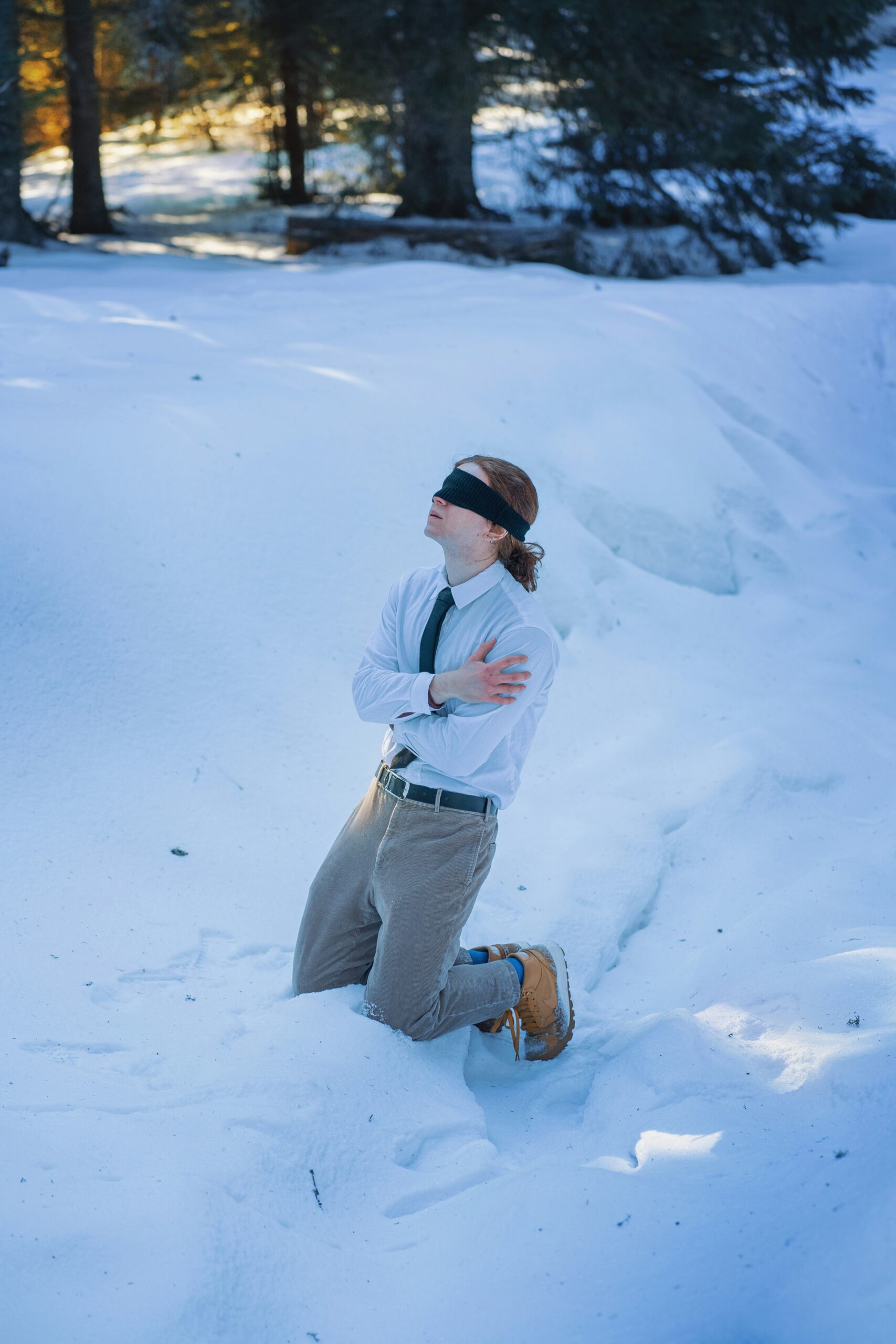 The Viral “Nihilist Penguin Death March”: Footprints in the Ice That Became blueprint for the human soul