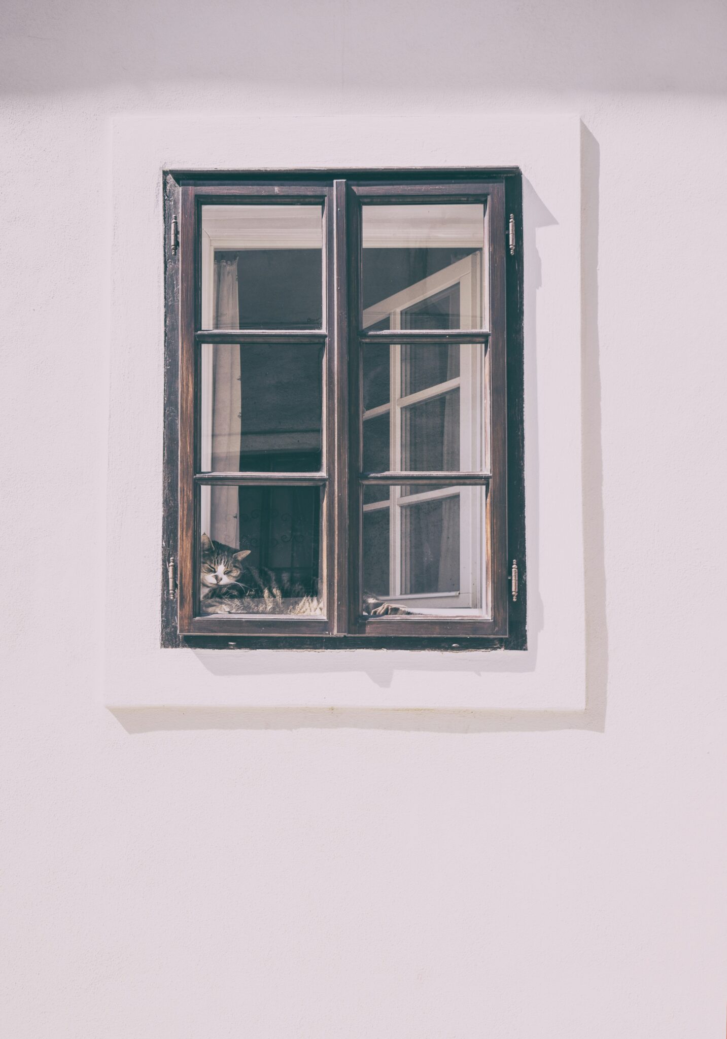 To The Window You Don’t Need to Escape the Pain—Just Find the Window of Hope ...